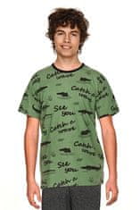 TARO Chlapecké pyžamo 2741 Luka - TARO Zelená 146