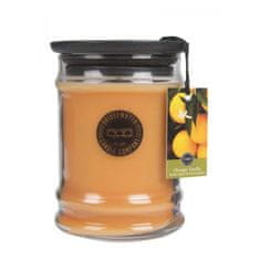 Bridgewater vonná svíčka Orange Vanilla, malá 250g