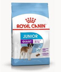 Royal Canin Giant Junior 15 kg granule pro mladé psy obřích plemen od 8 do 18/24 měsíců věku