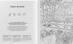 Caran´d Ache Kniha - omalovánky "L'Esprit des Alpes", 454.802