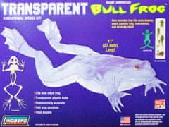 KECJA Plastikový model Lindberg - Transparent Bull Frog
