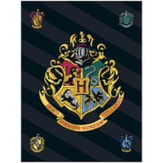 EUROSWAN Fleecová deka Harry Potter s erbem čarodějnické školy v Bradavicích