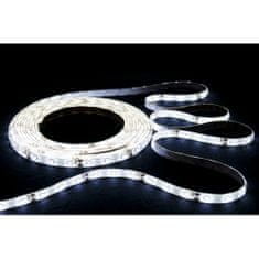 ECOLIGHT LED pásek - SMD 2835 - 1m - 4,8W - studená bílá