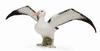 figurka Albatros stěhovavý