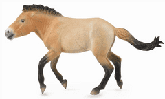 COLLECTA figurka Kůň Převalského hřebec