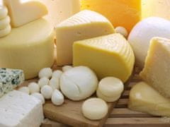  Kurz na výrobu domácích sýrů, jogurtů, tvarohu a mléčných výrobků