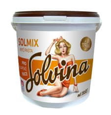 Zenit Solvina SOLMIX 10kg mycí pasta na ruce (končící expirace)