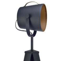 Teamson Stativ Led Standardní Stojací Lampa Černá Zlatá Moderní Osvětlení Vn-L00020-Eu