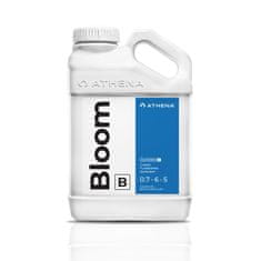  Bloom B 3,78l