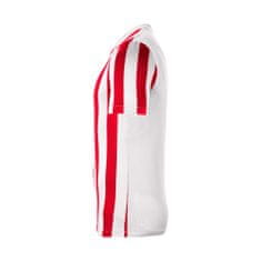Nike Tričko na trenínk XL Striped Division IV