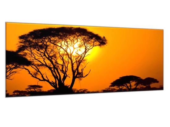 Glasdekor Obraz skleněný západ slunce Afrika Keňa