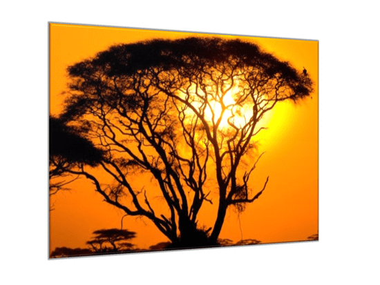 Glasdekor Obraz skleněný západ slunce Afrika Keňa