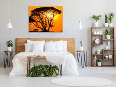Glasdekor Obraz skleněný západ slunce Afrika Keňa - Rozměry-čtverec: 34 x 34 cm