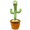Veselý kaktus - DANCETUS