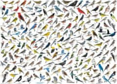 EuroGraphics  Puzzle Svět ptáků 1000 dílků