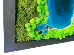 Mechový obraz s epoxidovou pryskyřicí - jezero - plochý a sobí mech - dřevěný černý rám