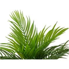 Europalms Areca palma, 46 cm