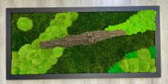 Mechový obraz mix mechu -kůra 128*60cm - dřevěný rám černý