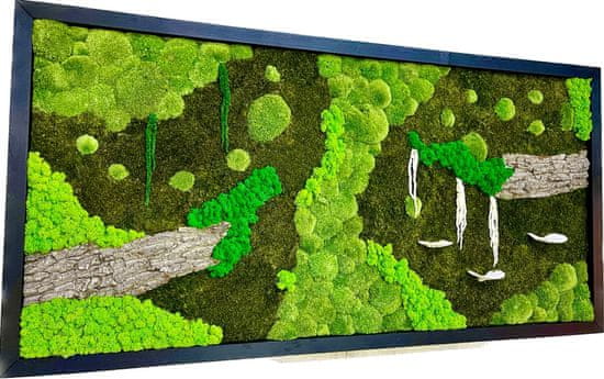 ProfiMech Mechový obraz mix mechu -dřeviny - rostliny 180*90cm - dřevěný rám černý