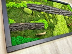 ProfiMech Mechový obraz mix mechu -dřeviny - rostliny 200*100cm - dřevěný rám černý
