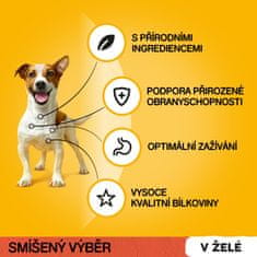 Pedigree Vital Protection kapsičky masový výběr v želé pro dospělé psy 48 x 100g