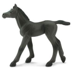 Safari Ltd. Safari Kůň černý