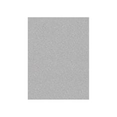 Hanse Home Kusový koberec Nasty 101595 Silber 80x200 cm