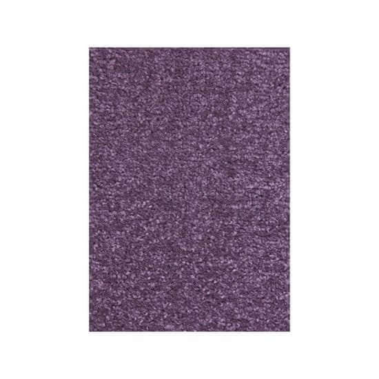 Hanse Home Kusový koberec Nasty 101150 Lila 80x150 cm