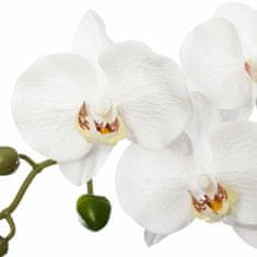 Atmosphera Bílá umělá orchidej v květináči, výška 53 cm