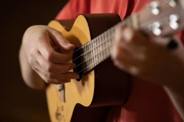 krásné koncertní ukulele Ortega RU5 matná povrchová úprava 18 pražců plnohodnotný zvuk zhotovené ze dřeva sapele a smrku krásné také jako dárek