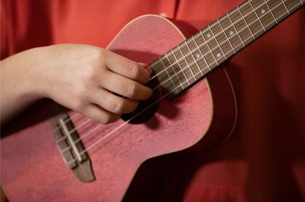 krásné koncertní ukulele Ortega RUFIRE pololesklá povrchová úprava 18 pražců plnohodnotný zvuk zhotovené ze dřeva sapele a okoumé krásné také jako dárek