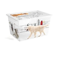 Kis C Box Style Pets Collection XL, 50l