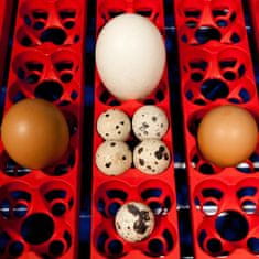 Greatstore Inkubátor pro líhnutí 24 vajec poloautomatický s dávkovačem vody professional 100 W