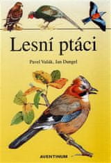 Jan Dungel: Lesní ptáci