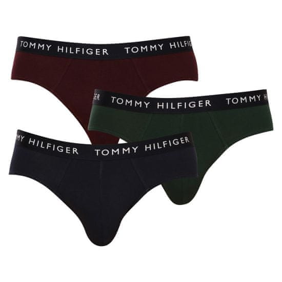 Tommy Hilfiger 3PACK pánské slipy vícebarevné (UM0UM02206 0UJ)