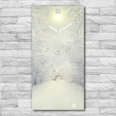 Wallmuralia Moderní hodiny nástěnné Les zima bílé 30x60 cm