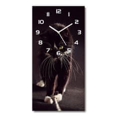 Wallmuralia Moderní hodiny nástěnné Černá kočka bílé 30x60 cm