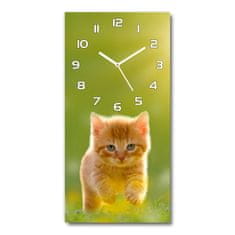 Wallmuralia Moderní hodiny nástěnné Červená kočka bílé 30x60 cm