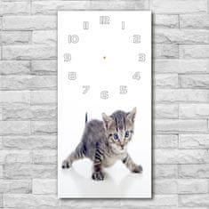 Wallmuralia Moderní hodiny nástěnné Malá kočka bílé 30x60 cm