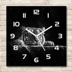 Wallmuralia Skleněné nástěnné hodiny čtverec Tygr bílé 30x30 cm