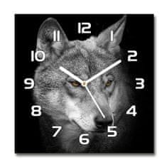 Wallmuralia Skleněné nástěnné hodiny čtverec Vlk bílé 30x30 cm