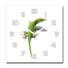 Wallmuralia Skleněné hodiny čtverec Zelená ještěrka bílé 30x30 cm