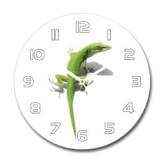 Wallmuralia Skleněné hodiny kulaté Zelená ještěrka bílé fi 30 cm