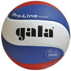 Gala volejbalový míč Pro-Line BV5591S