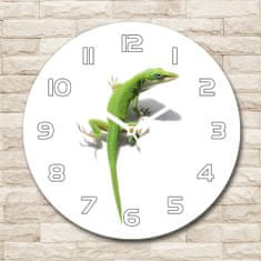 Wallmuralia Skleněné hodiny kulaté Zelená ještěrka bílé fi 30 cm
