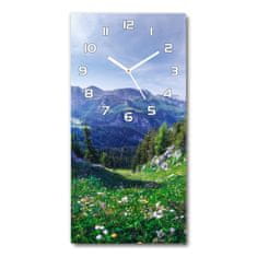 Wallmuralia Moderní hodiny nástěnné Alpy bílé 30x60 cm