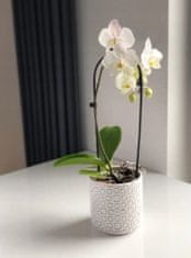 Polnix Kulatý keramický květináč bílý 13 cm
