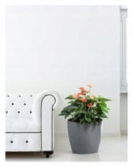 Lamela Plastový obal květináče šedý 13,5 cm Magnolie