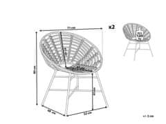 Beliani Sada 2 židlí z umělého ratanu světle hnědá ACERRA