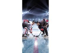 Jerry Fabrics Osuška Lední hokej Bavlna - Froté, 70x140 cm